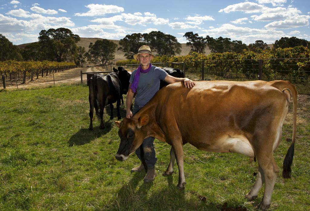 Dairyman'S Cottage Lyndoch Bilik gambar